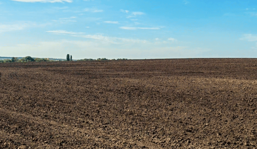 Як підготувати грунт до посівної? Корисні поради, про підготовку, терміни та захист від шкідників