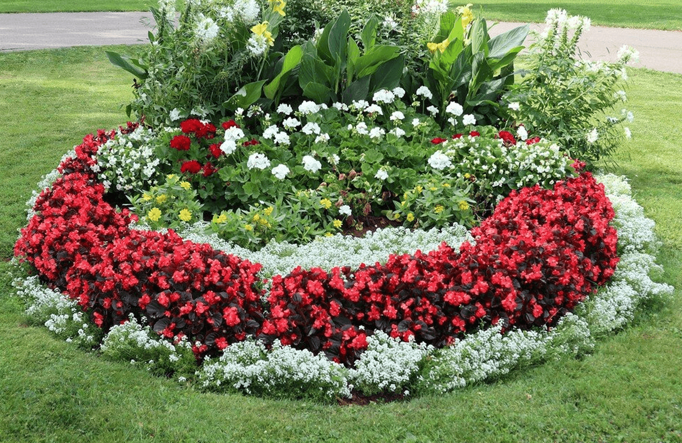 Квіти біля дому: що посадити, щоб було гарно, просто й без зайвого клопоту