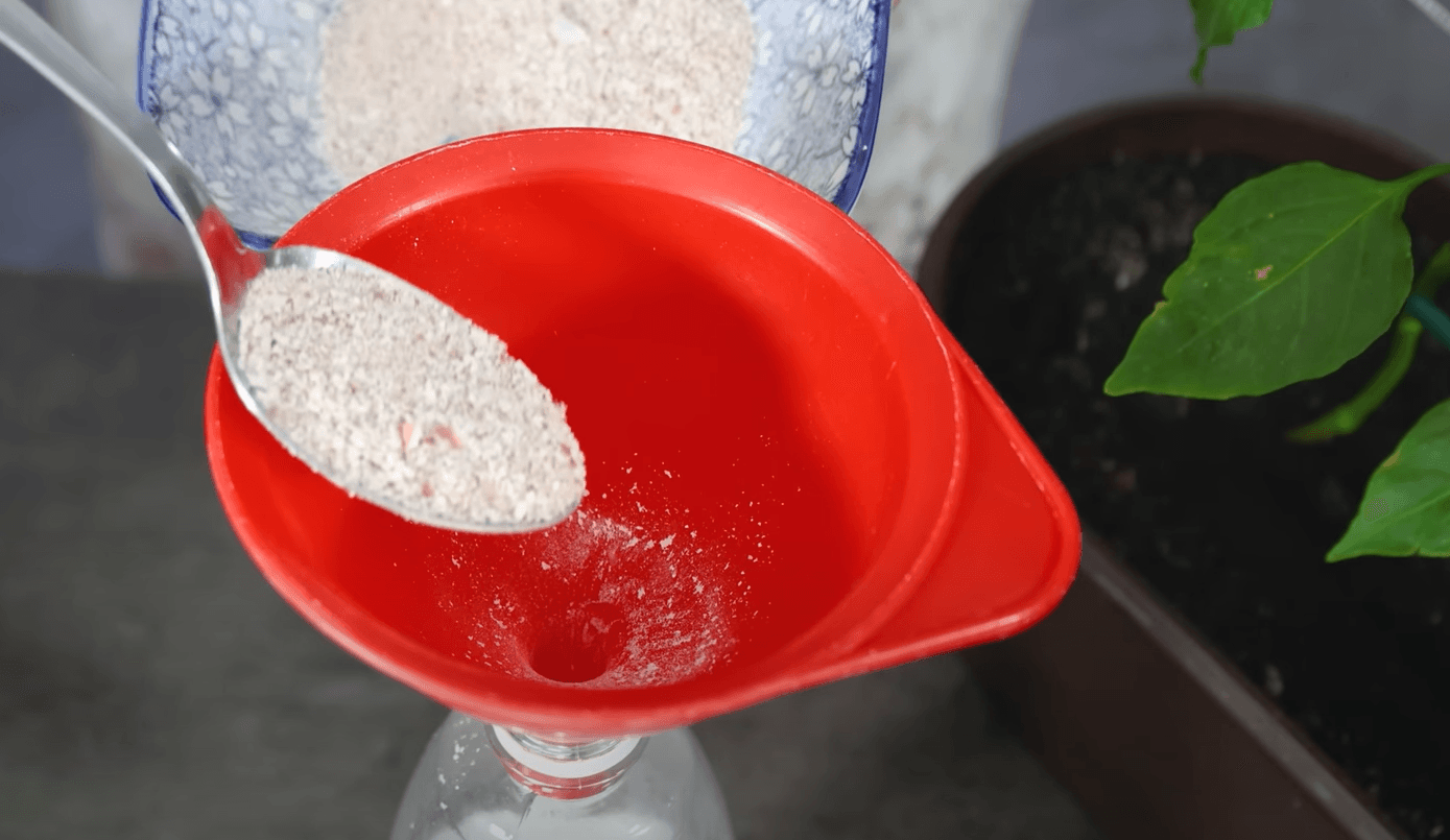 добриво з яєчної шкаралупи