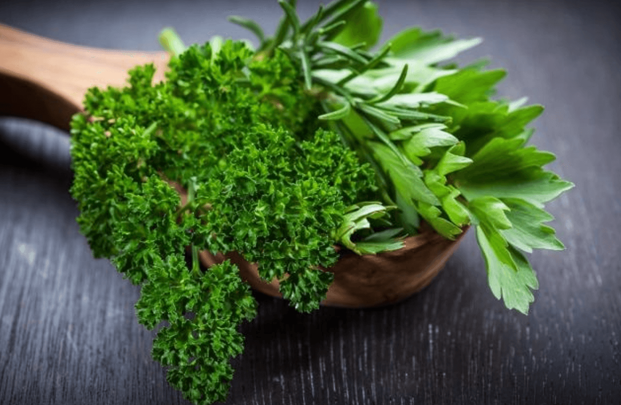 Прихований потенціал петрушки - що ви не знали про популярну приправу