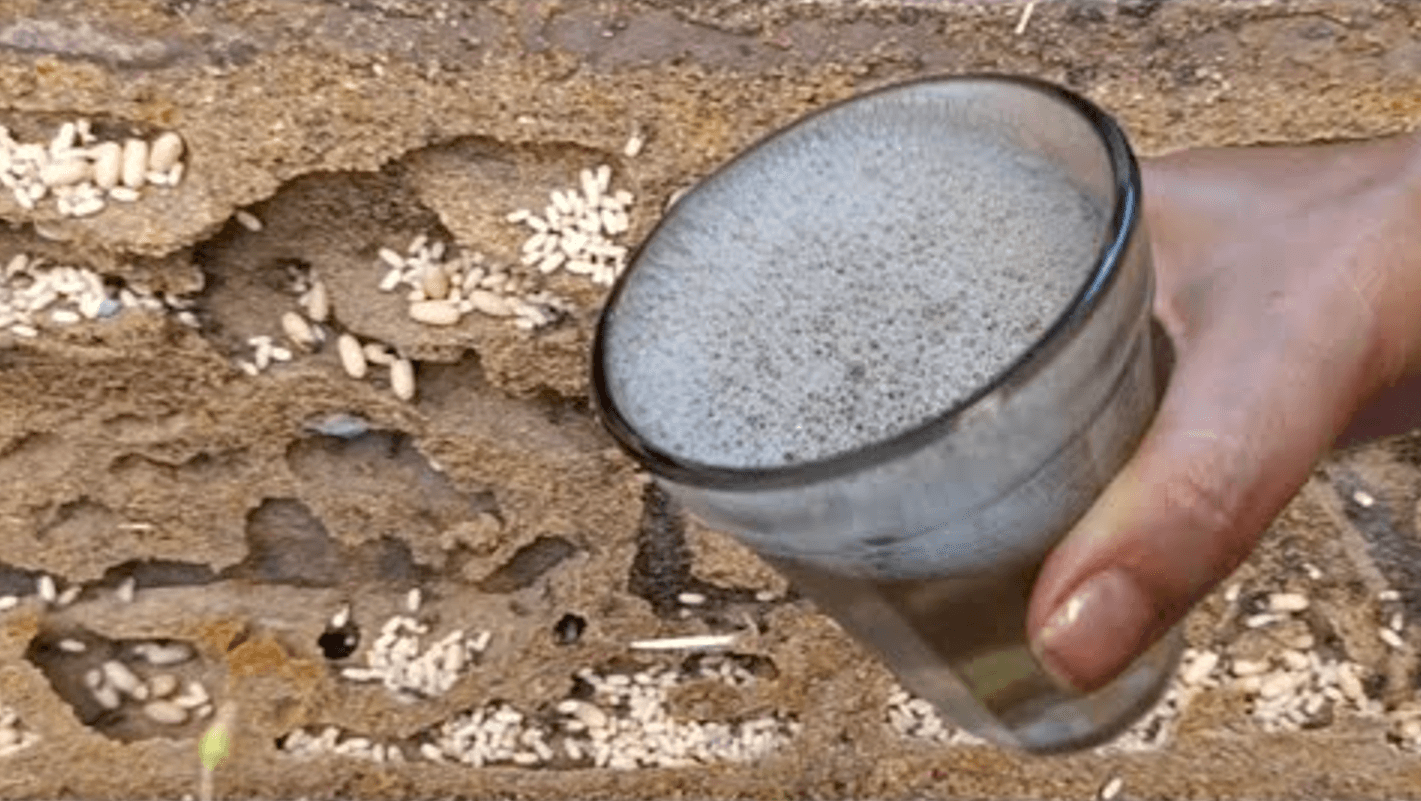 Склянка в обід і мурах більше нема! Працює моментально