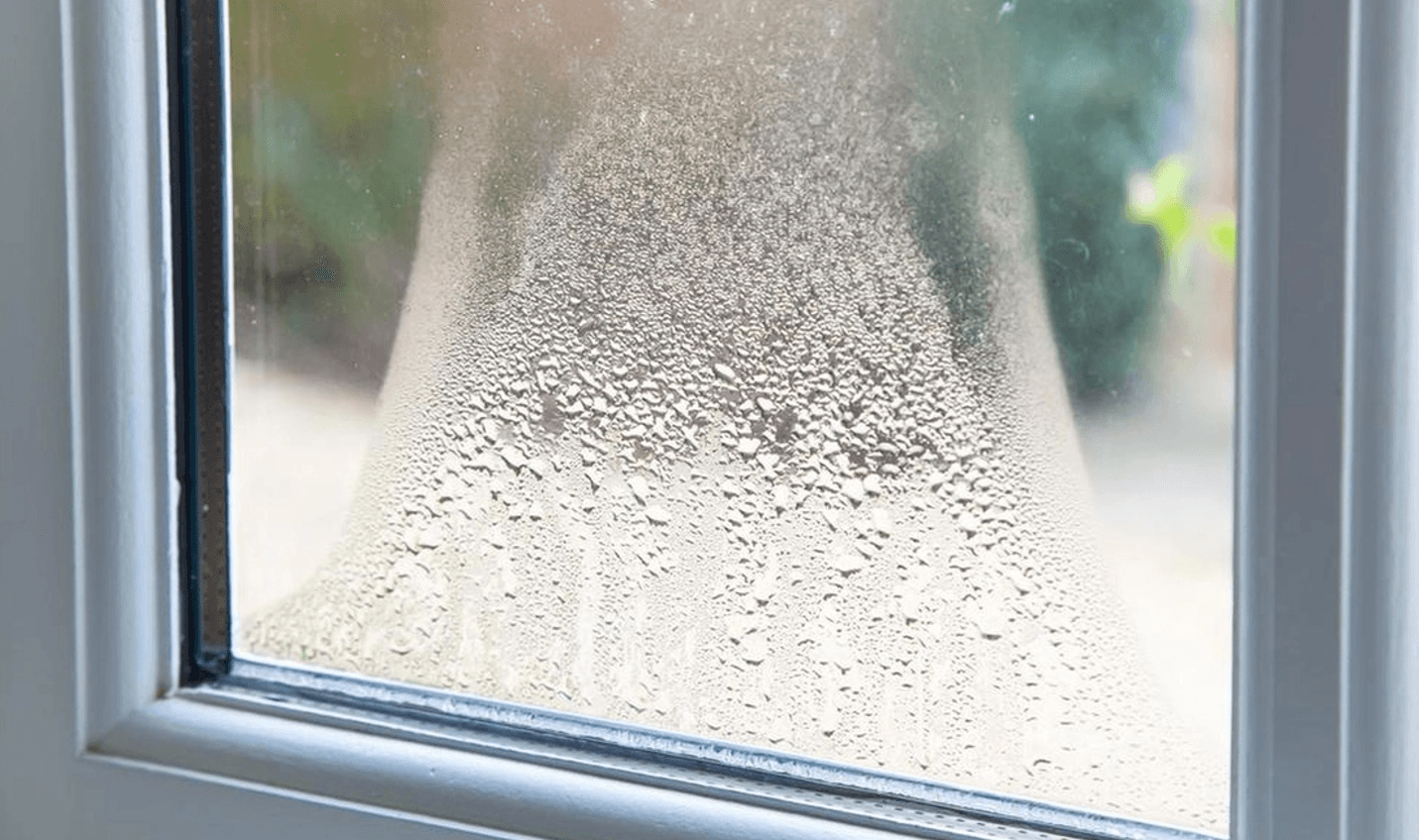 Вологі стіни та грибок? Перевірені способи! Забула про вологість в домі назавжди!