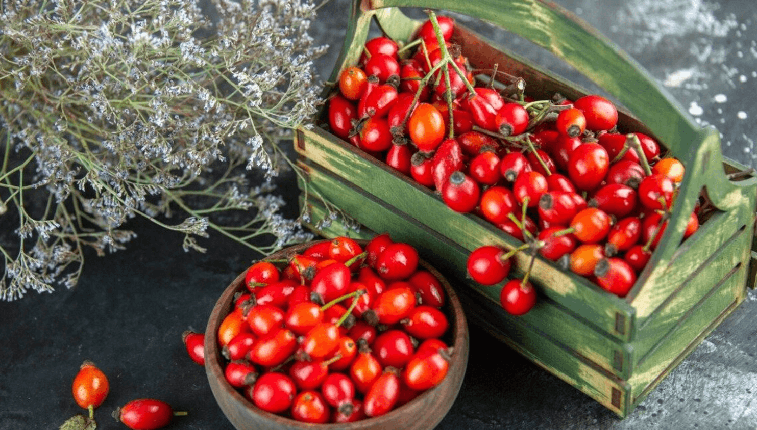 Лікарі мовчать, а народ використовує століттями: вся правда про шипшину