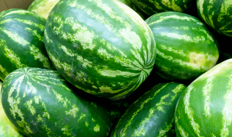 Як правильно вибирати кавун? Перевірені трюки, як обрати найсолодші та найсмачніші