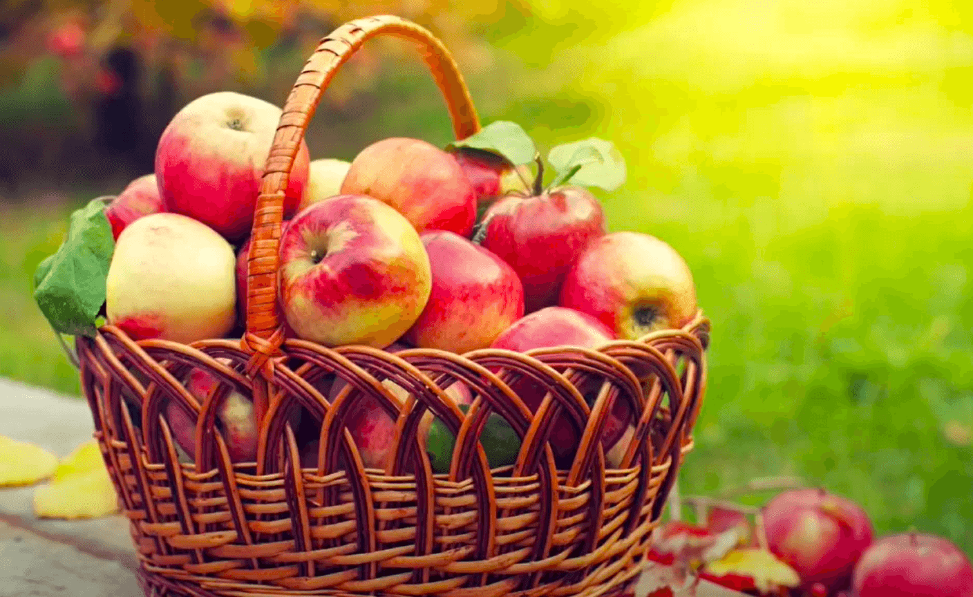 Яблучний Спас 2025: що варто знати, як святкувати та що приготувати! Народні традиції та прикмети! Все, що треба знати