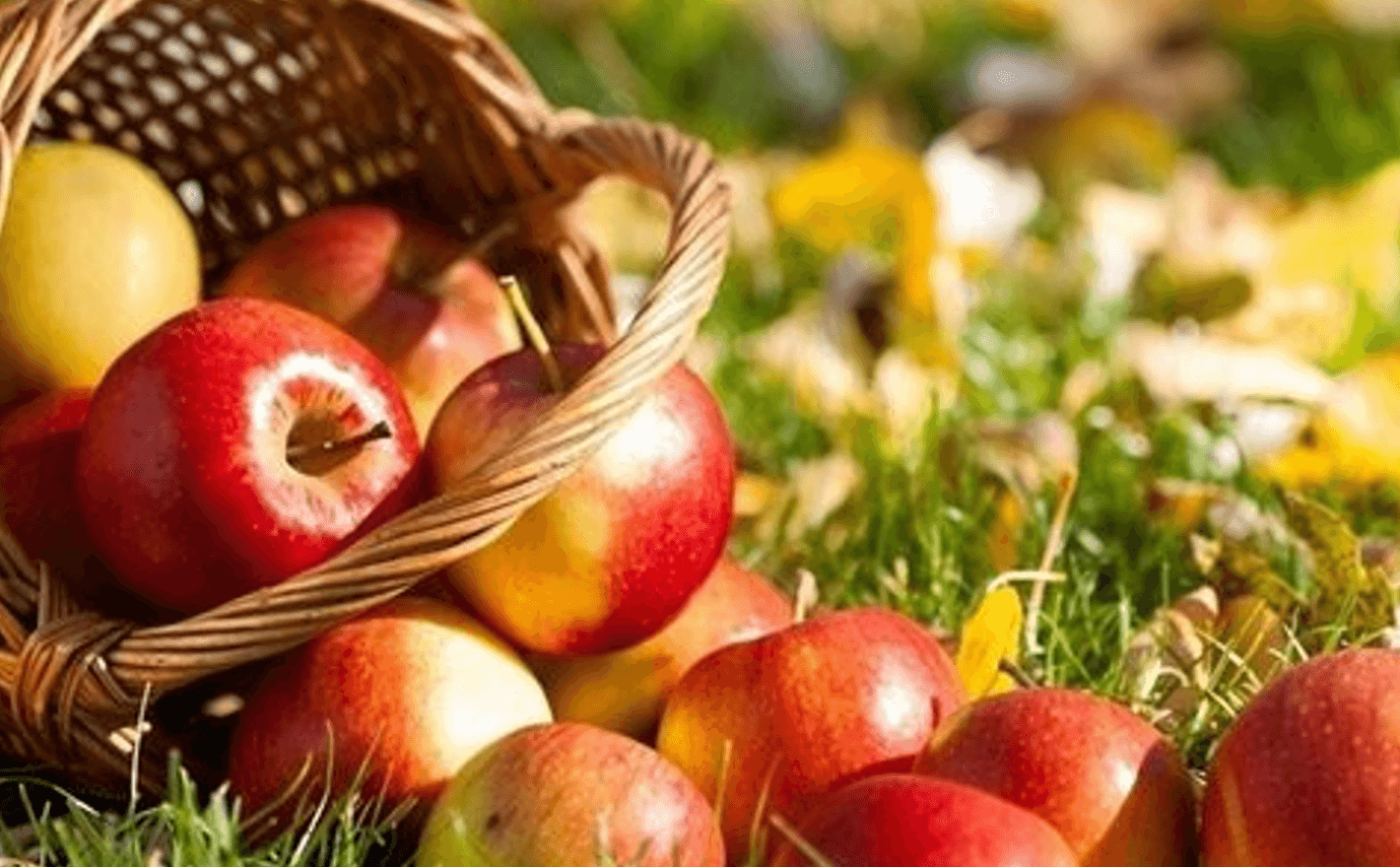 Що покласти в кошик, чого робити не можна, а що обов'язково треба! Яблучний Спас 2025! Головні традиції та прикмети!