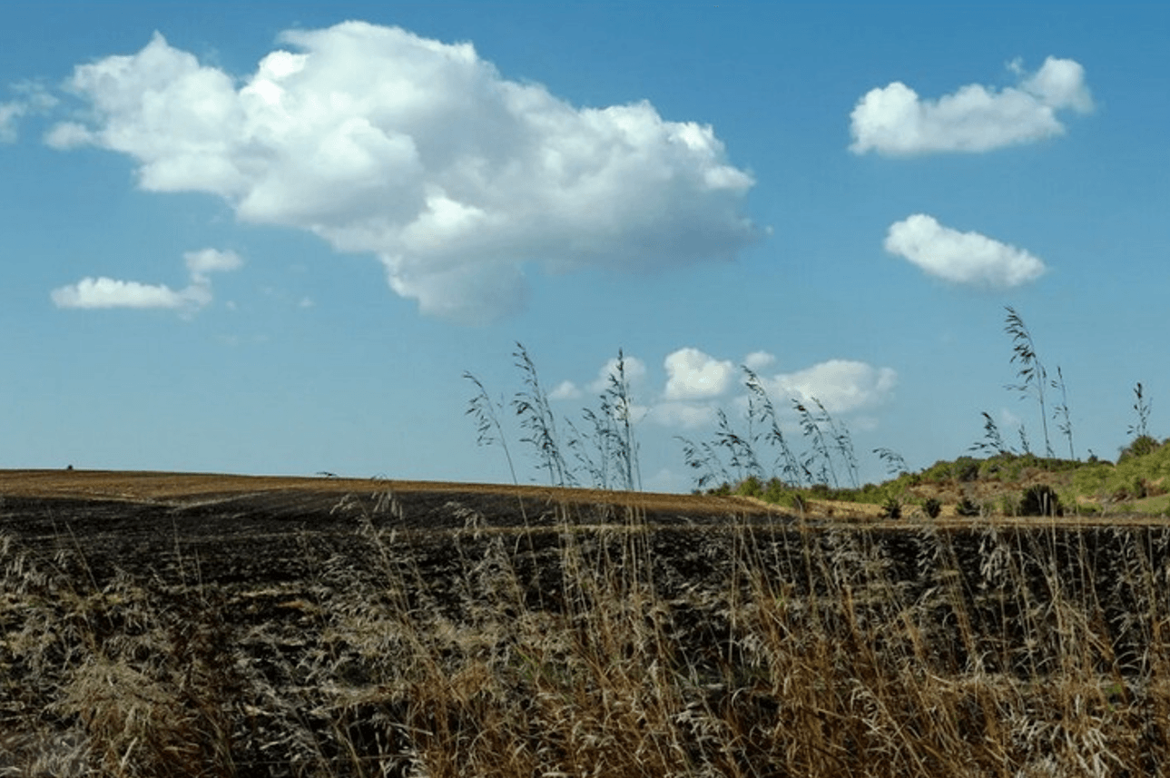 Народні прикмети про серпень: як вгадати погоду восени