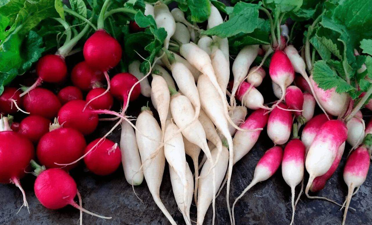Секрет городників! Що сіяти в серпні, щоб зібрати другий урожай до холодів