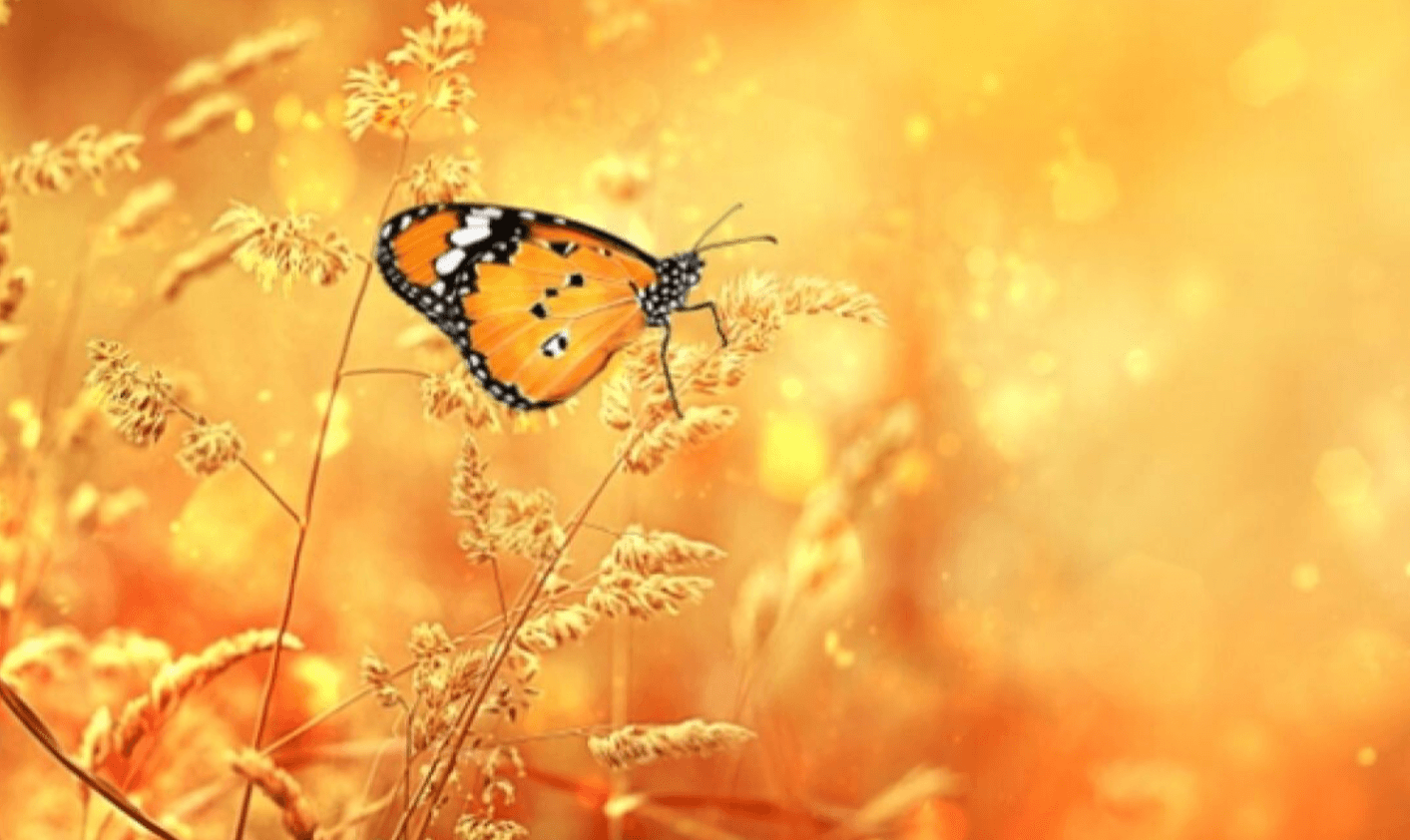 Прогноз погоди в Україні на серпень 2025: температура, опади, поради! Це треба знати