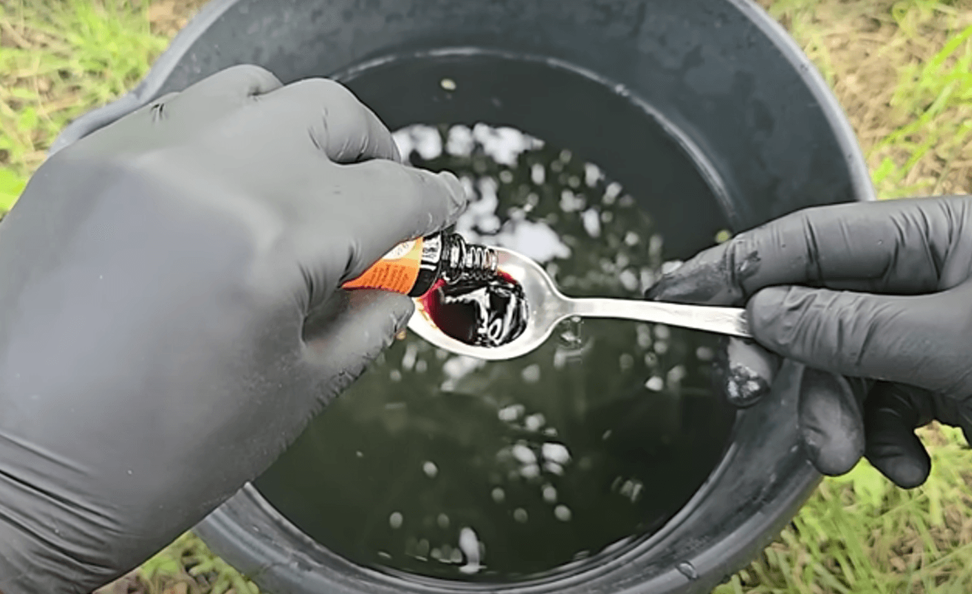 чим підживити огірки та помідори