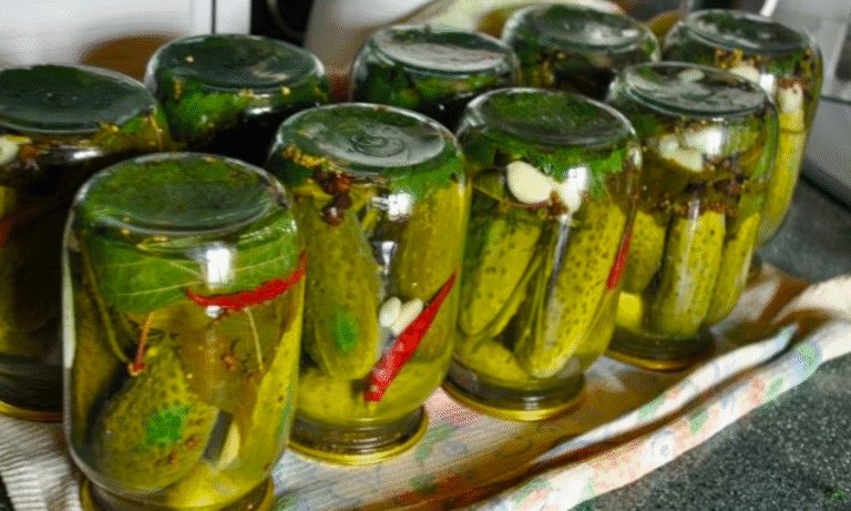 5 найкращих рецептів маринованих огірків! Ділюсь секретами
