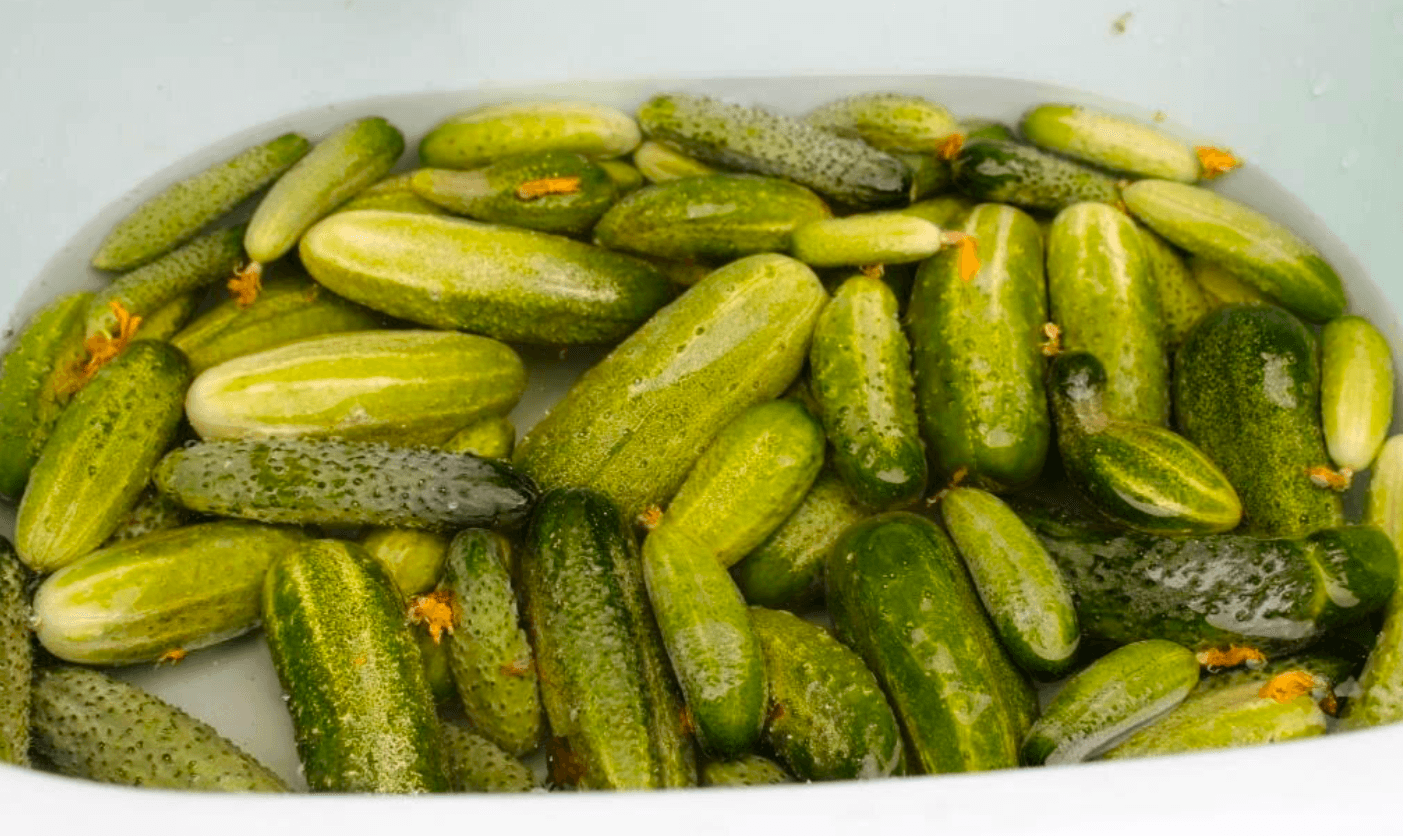 Що обов'язково додати, щоб мариновані огірки вийшли хрусткими!
