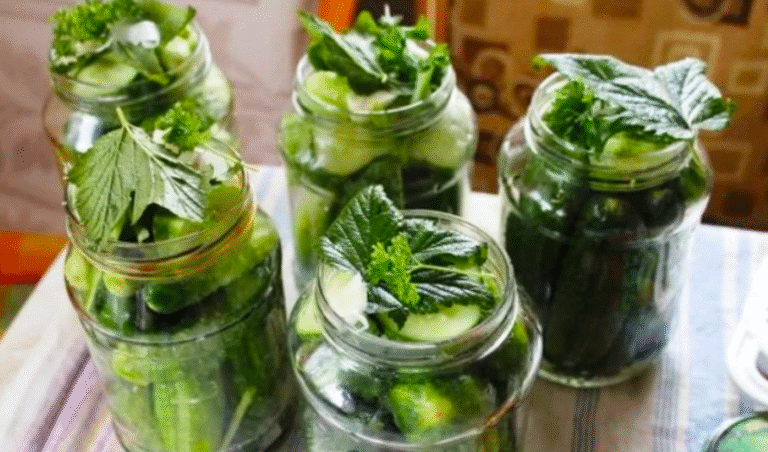 Маринуємо огірки Без проблем і Стерилізації! Сімейна реліквія