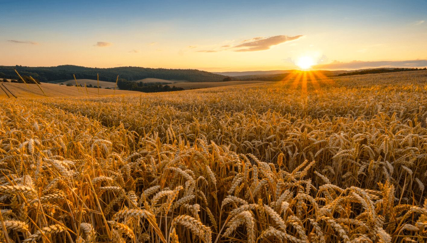20 серпня: яке сьогодні свято, традиції та що заборонено робити
