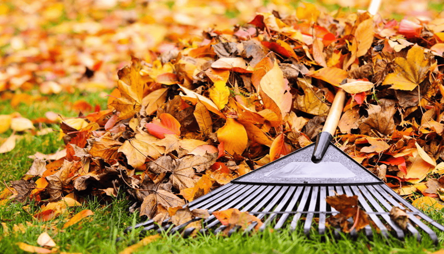 10 справ, які потрібно встигнути на городі у вересні, щоб не залишитися без врожаю наступного року