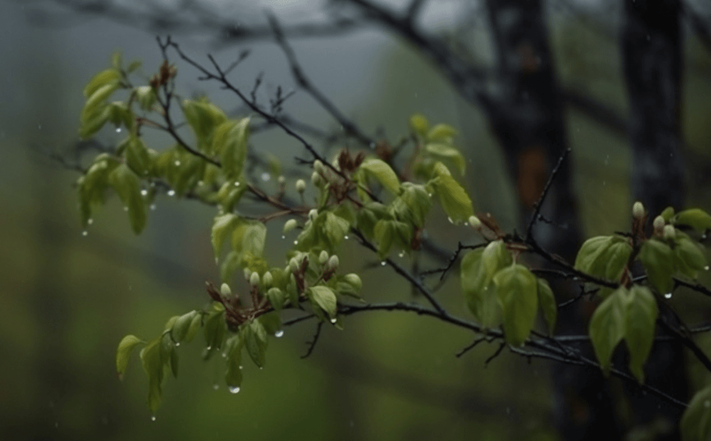 Жидівські кучки у вересні: що означає ця народна прикмета і чого чекати від погоди