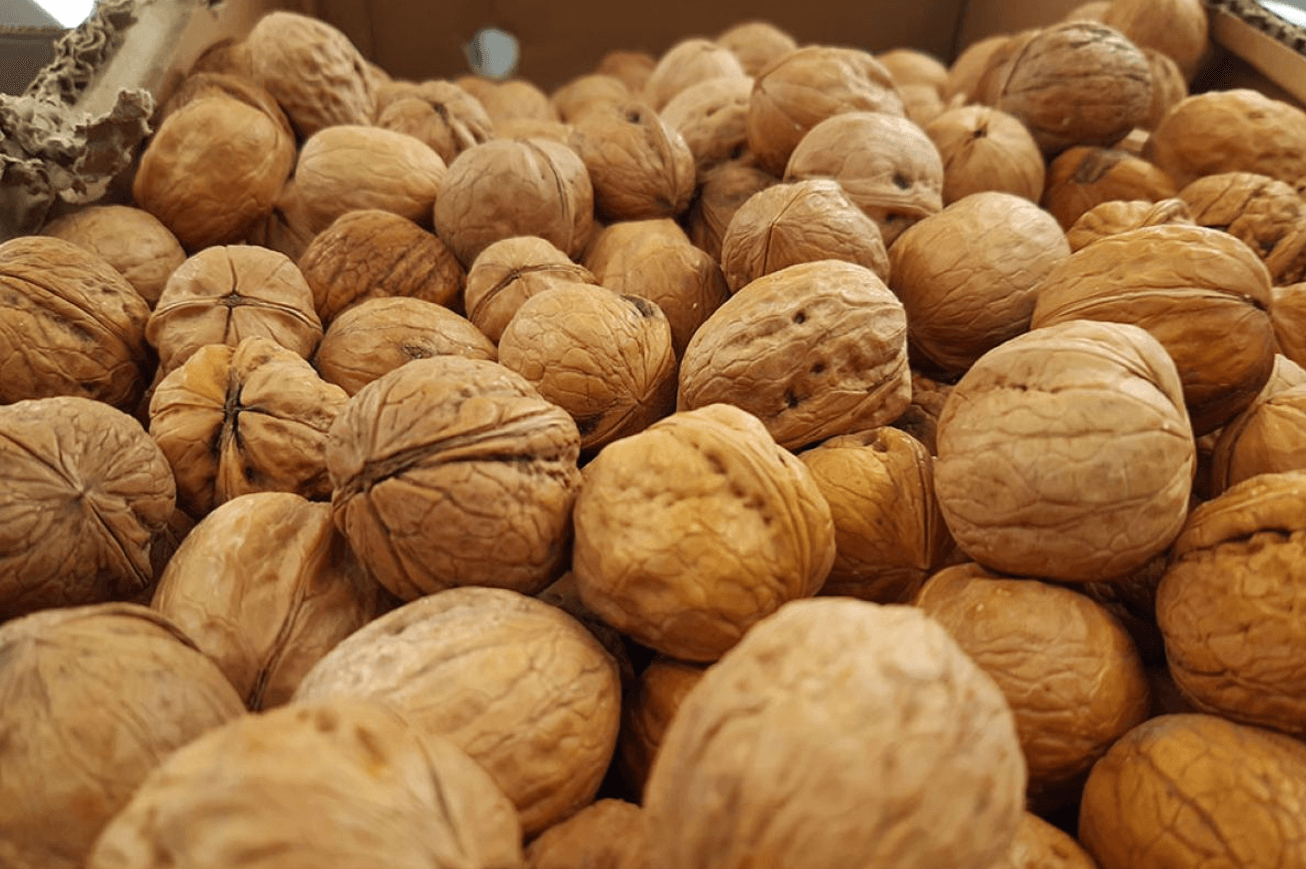 Кожен чув пораду: “Хочеш добре вчитися — їж горіхи”. Але чи справді цей продукт здатний впливати на роботу мозку, чи це лише міф? Осінь — ідеальний час, щоб розібратися, адже саме зараз організм потребує більше вітамінів та поживних речовин. Як горіхи впливають на мозок Омега-3 жирні кислоти з волоських горіхів підтримують здоров’я нейронів. Вітамін Е уповільнює старіння клітин мозку та захищає від втрати пам’яті. Магній і цинк покращують концентрацію та швидкість мислення. Антиоксиданти захищають мозок від стресу та перевтоми. Які горіхи найкращі для пам’яті Волоські горіхи — головні “стимулятори мозку”. Мигдаль — для концентрації та гарного настрою. Фундук — знижує втому та допомагає краще зосередитись. Фісташки — зменшують стрес, що заважає пам’яті. Як вживати правильно Жменя (близько 30 г) щодня. Найкраще вживати сирими або злегка підсушеними. Додайте до сніданку: каші, йогурту, смузі. Уникайте надлишку — занадто багато горіхів може перевантажити організм калоріями. Висновок Горіхи дійсно допомагають мозку працювати краще, а пам’яті — бути гострішою. Це не чарівна пігулка, але регулярна жменя горіхів може стати вашим простим секретом розумової ясності та високої продуктивності.