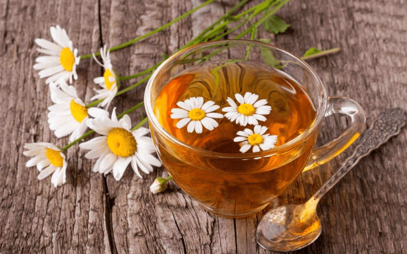 Здивуєтеся! Але звичайна трава здатна врятувати ваші ноги від варикозу