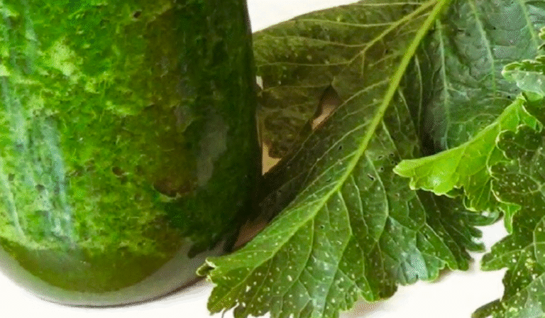 Готую кожен рік! Настойка лікує біль у суглобах, м'язах, кашель, застуду! Бабусина аптека з городу