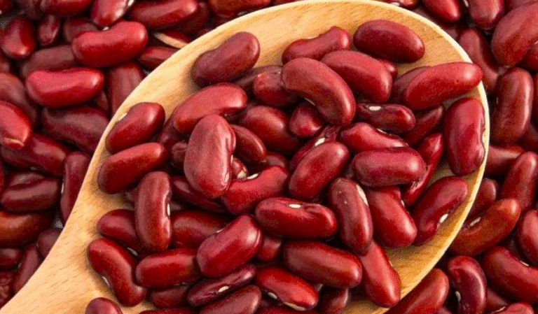 Як зберігати квасолю, щоб не завелись жучки! Все дуже просто і перевірено роками