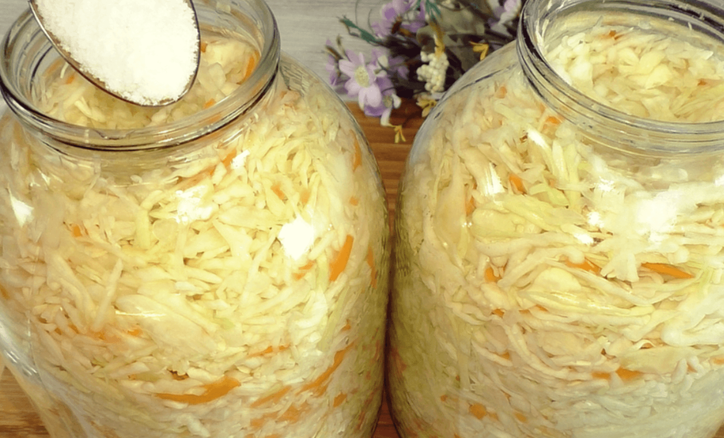 квашена капуста