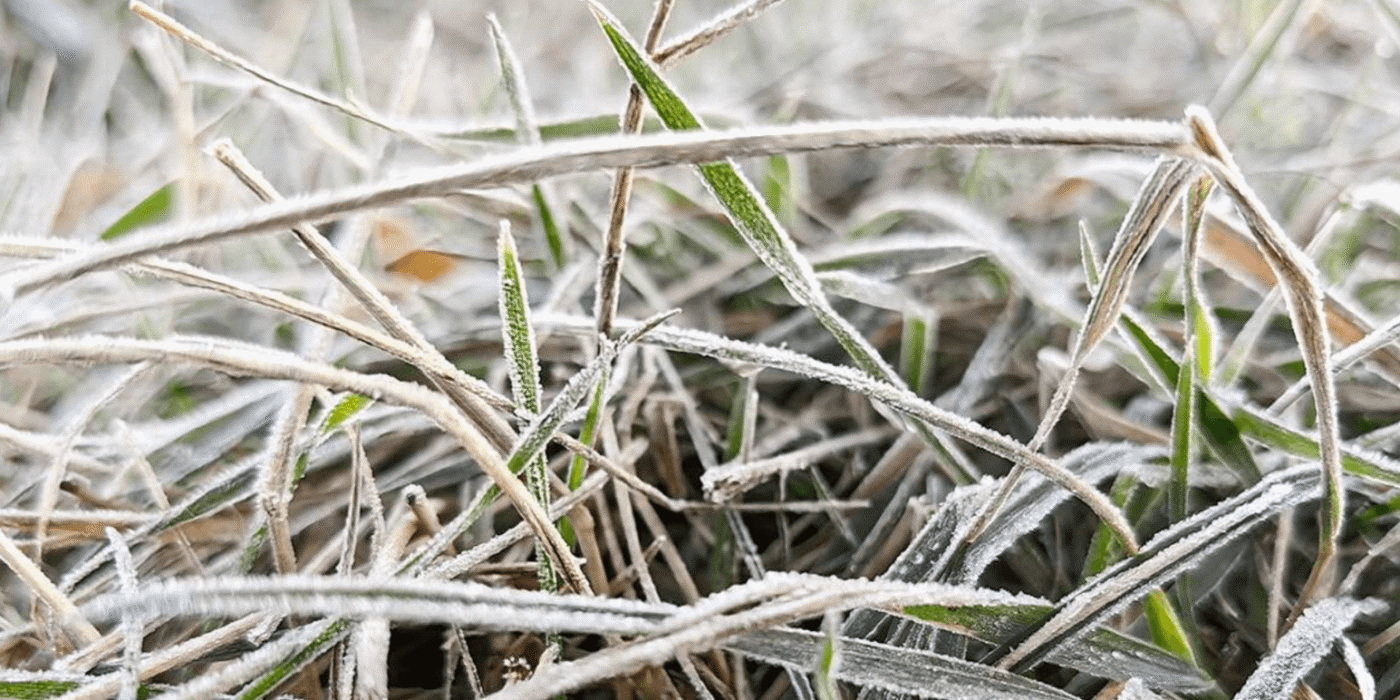 Перші приморозки вже на порозі: що вони віщують для цієї зими