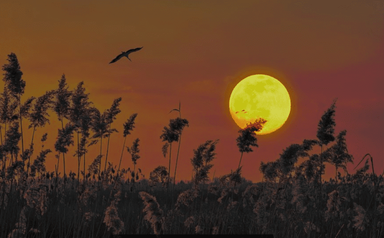 Жовтень 2025: місячний календар, народні прикмети та секрети, які змінять ваш місяць