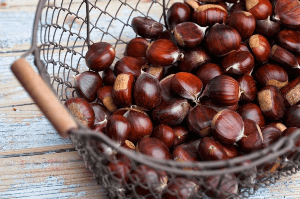 Секрет каштанів: від чого вони реально допомагають