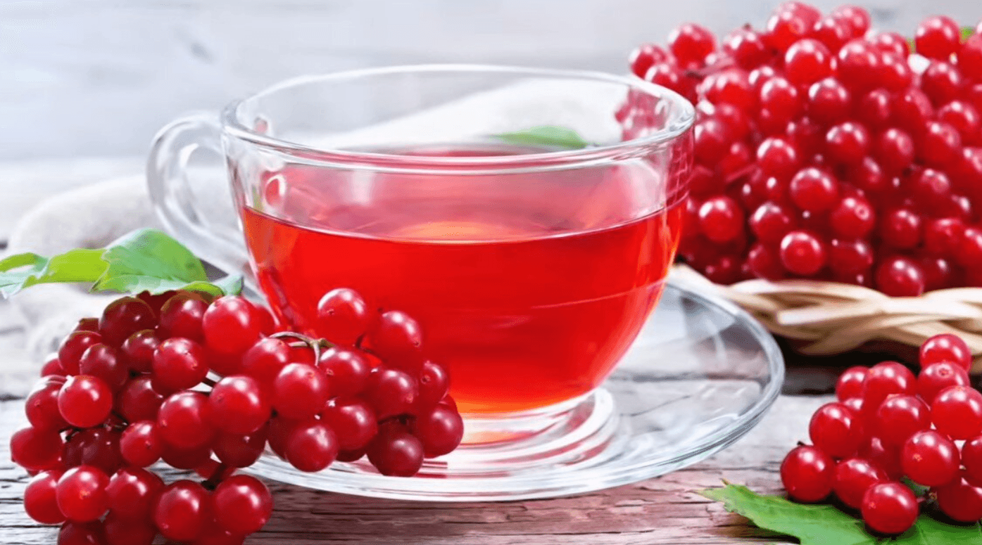 Настій з калини: природний засіб від тиску і безсоння