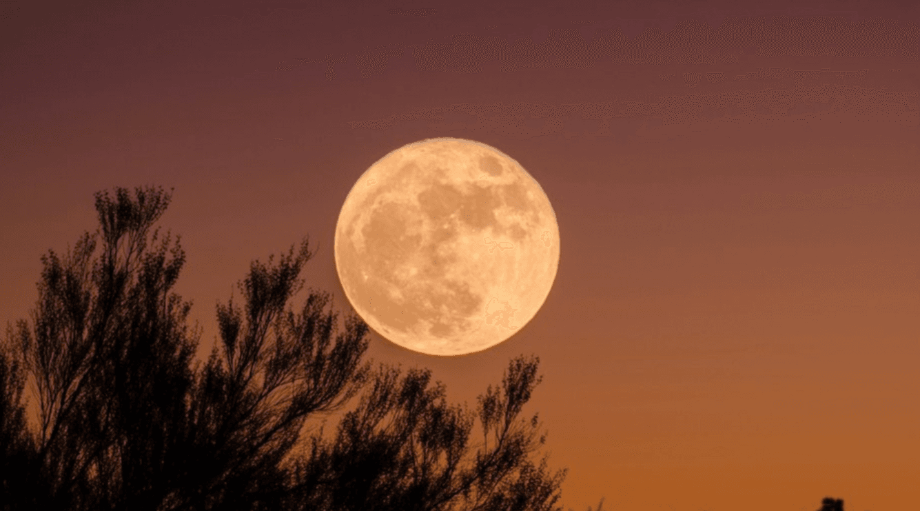 Сни під час повного місяця: що вони означають