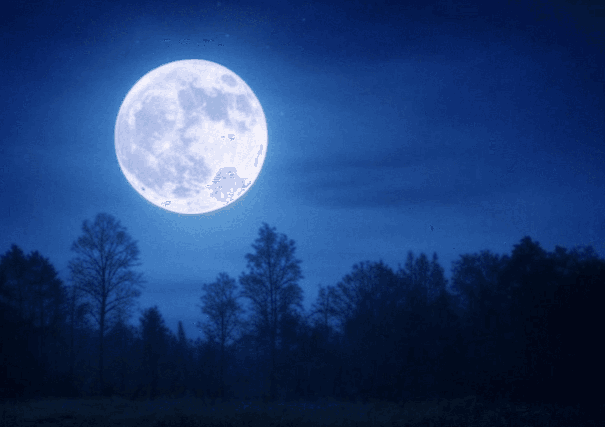 Місячний календар на листопад 2025 року: коли сіяти, стригтися і планувати важливі справи