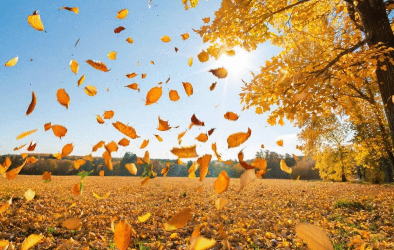 Після холодів і дощів - повернення тепла? Прогноз синоптиків приголомшив!