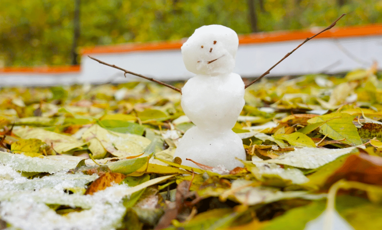 Перший сніг 2025-2026 в Україні: прийде раніше, ніж очікували! Синоптики приголомшені змінами