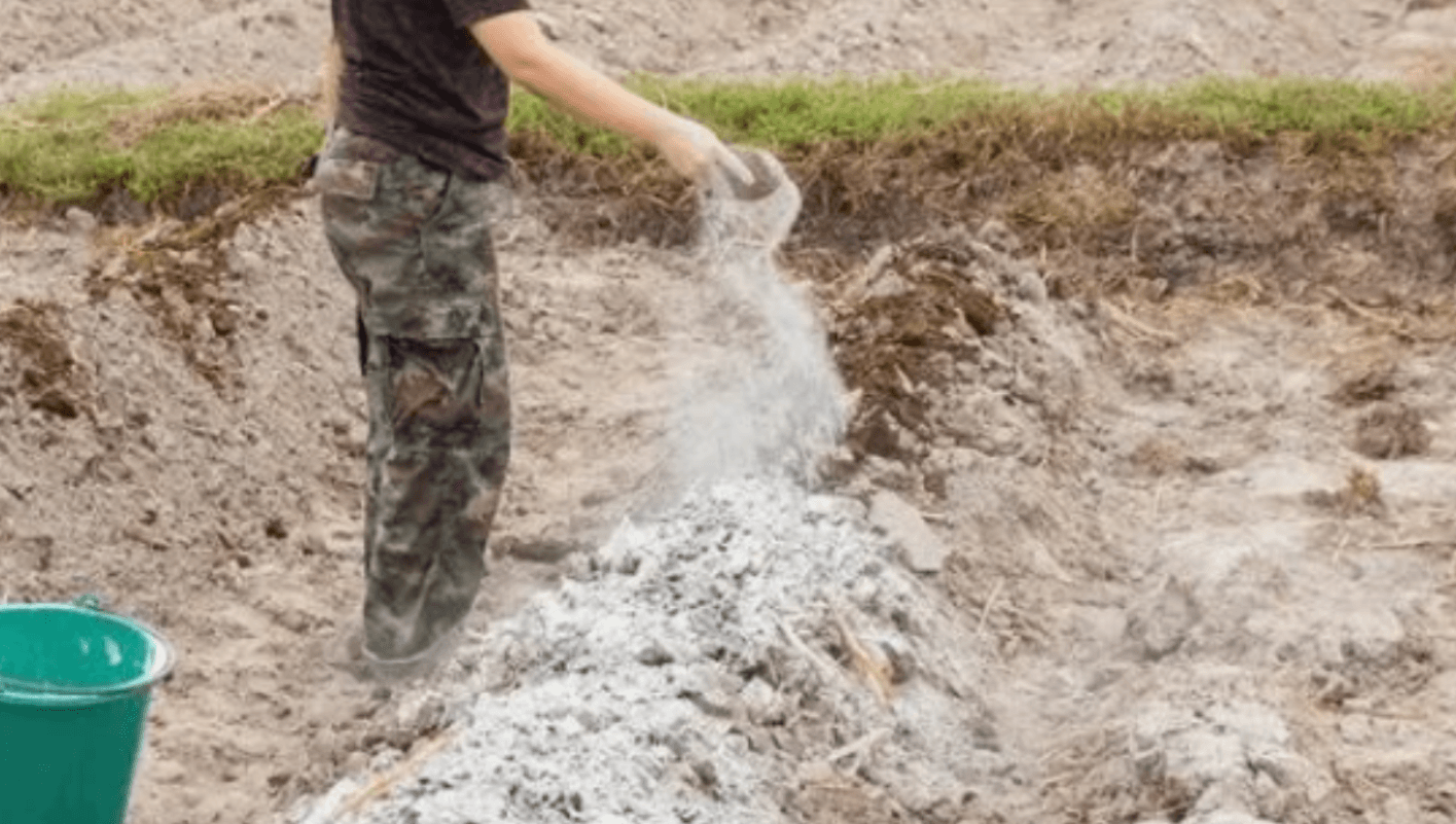 Як визначити кислотність ґрунту