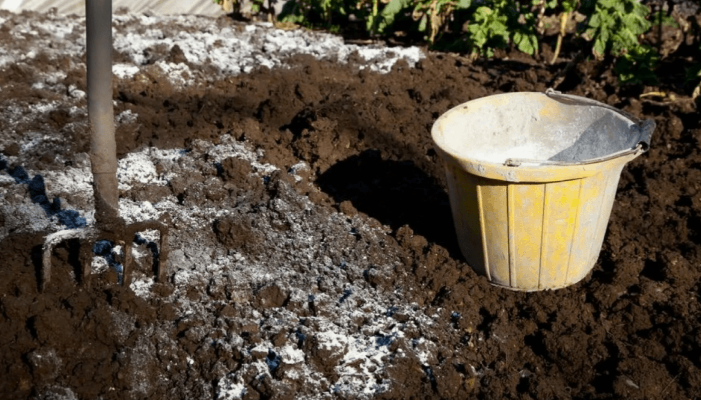 Простий спосіб, як визначити кислотність ґрунту на городі