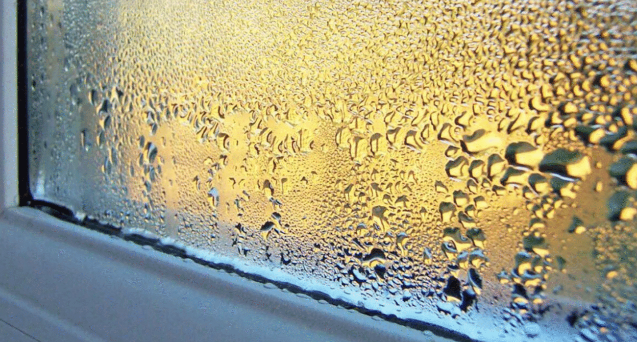 Пліснява вже у вас! Як прибрати конденсат на вікнах, щоб не дихати чорною пліснявою взимку.