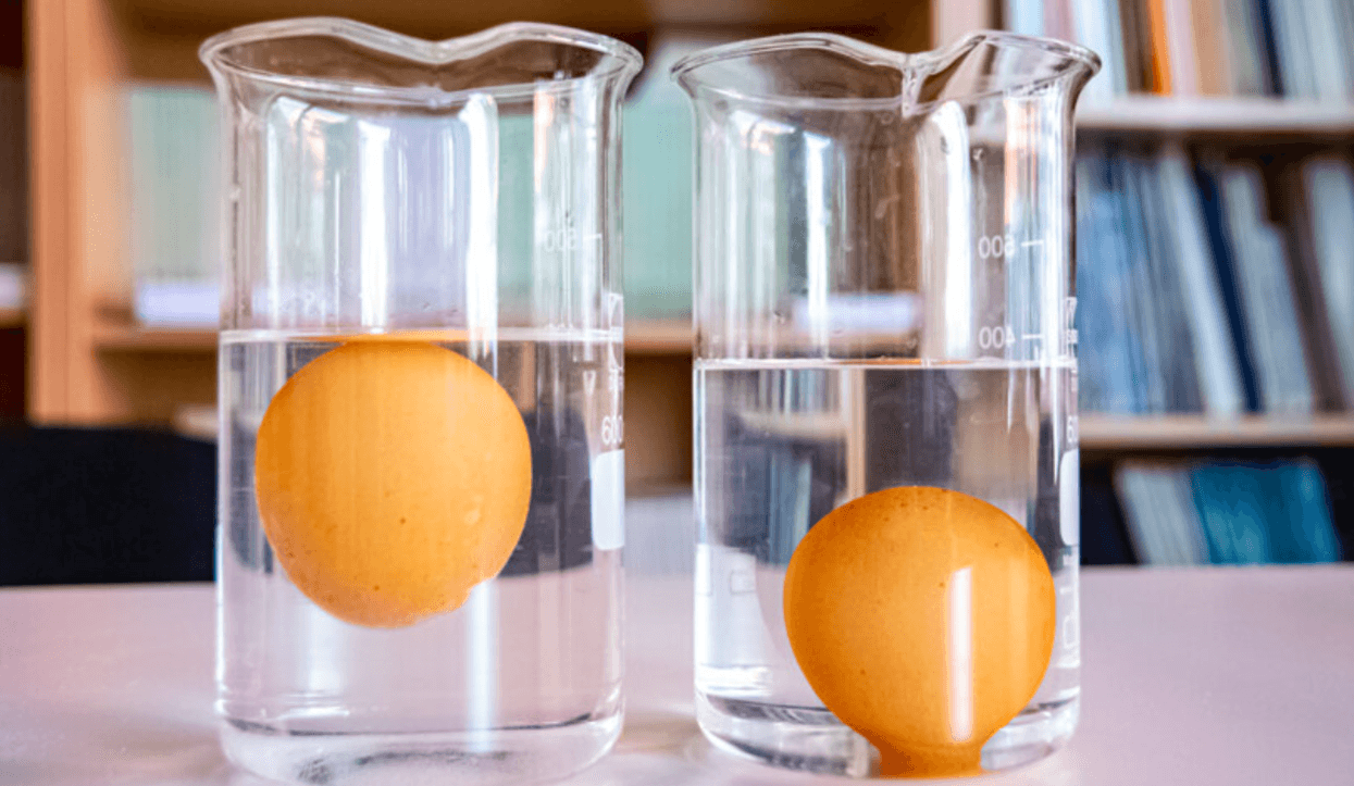 Секретний тест! Як перевірити свіжість яєць за 10 секунд (Без розбивання)