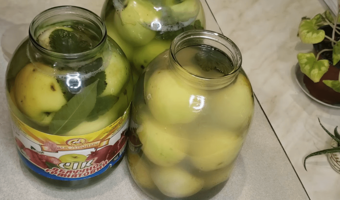 квашені яблука