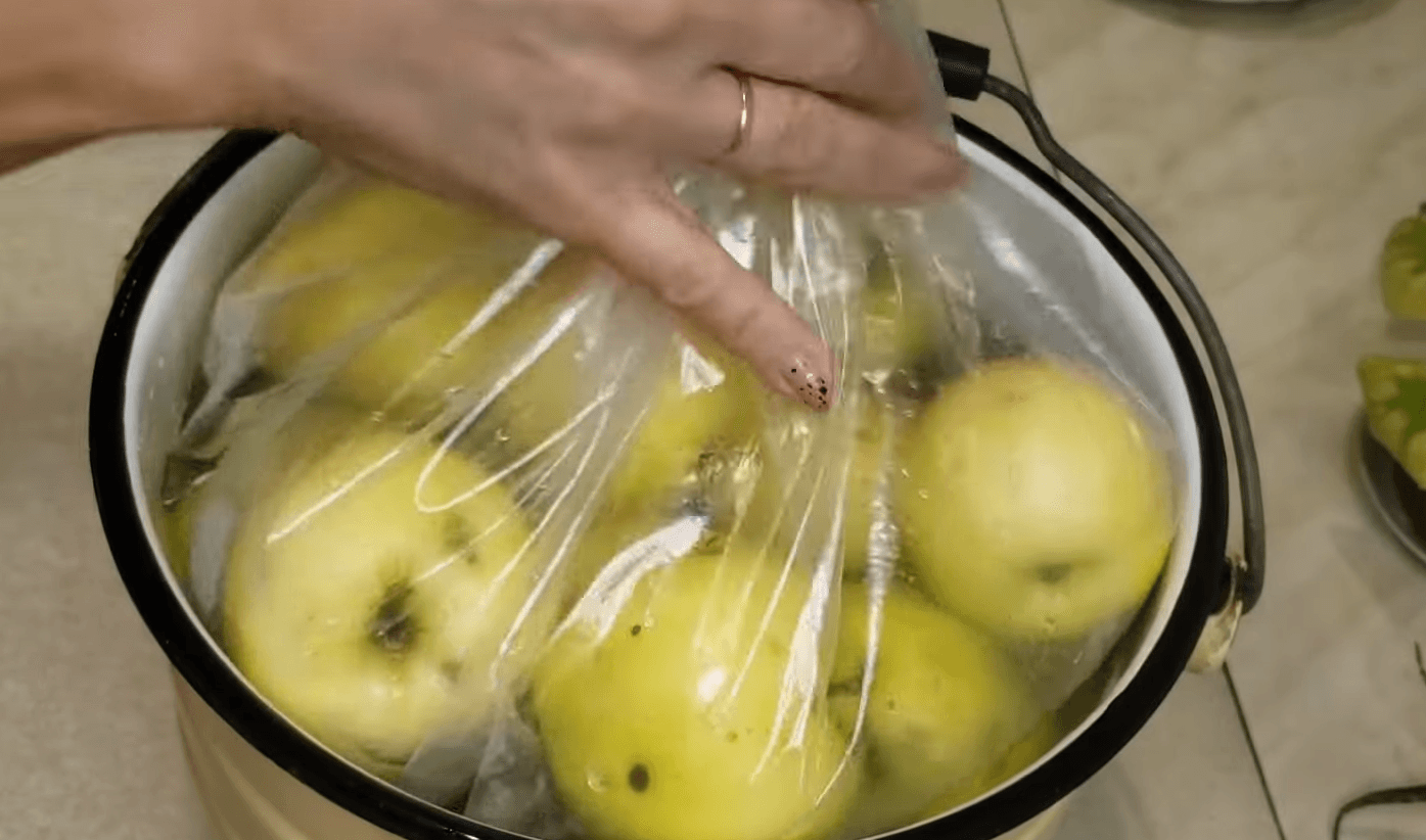 квашені яблука