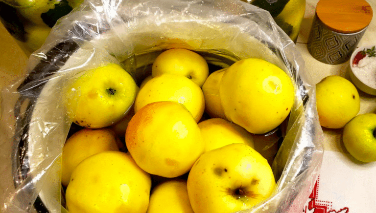 Квашені яблука, як баба готувала! Один з головних старовинних рецептів на зиму