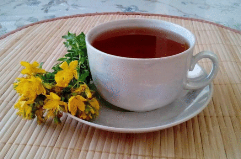 Звіробій (Hypericum perforatum) — одна з найвідоміших лікарських рослин в Україні. Його часто називають “травою від 99 хвороб”, адже чай зі звіробою допомагає при стресі, застудах, розладах травлення і навіть легкій депресії. Але, як і будь-які ліки, він має свої правила вживання. 🌿 Користь чаю зі звіробою Заспокоює нервову систему Напій зі звіробою допомагає при тривожності, безсонні, дратівливості. Його часто п’ють замість валер’янки чи аптечних заспокійливих. Покращує травлення Чай стимулює вироблення шлункового соку, допомагає при здутті, тяжкості після їжі та легких запаленнях у шлунку. Має протизапальні властивості Завдяки природним флавоноїдам, звіробій допомагає при застудах, болі в горлі, кашлі та навіть для полоскання рота. Підтримує імунітет Регулярне вживання в помірних кількостях зміцнює захисні сили організму і допомагає швидше відновитися після хвороби. 🍵 Як правильно заварювати чай зі звіробою Візьміть 1 столову ложку сухої трави звіробою. Залийте 200–250 мл окропу. Накрийте і настоюйте 10–15 хвилин. Процідіть і пийте теплим 1–2 рази на день. 👉 Для смаку можна додати мед або лимон, але лише після охолодження напою (щоб не зруйнувати корисні речовини). ⚠️ Кому не можна пити чай зі звіробою Вагітним і годуючим жінкам — лише після консультації з лікарем. Людям із підвищеним тиском — звіробій може його ще підвищити. При прийомі ліків від депресії, серця або контрацептивів — рослина може послаблювати їх дію. 🌞 Цікаво знати Звіробій називають “сонячною травою”, бо він накопичує енергію сонця — саме тому допомагає при пригніченому настрої, особливо взимку. Підсумок Чай зі звіробою — природний засіб для спокою, гарного сну та здорового травлення. Але важливо знати міру: курс вживання — не довше 2–3 тижнів поспіль, після чого варто зробити перерву.
