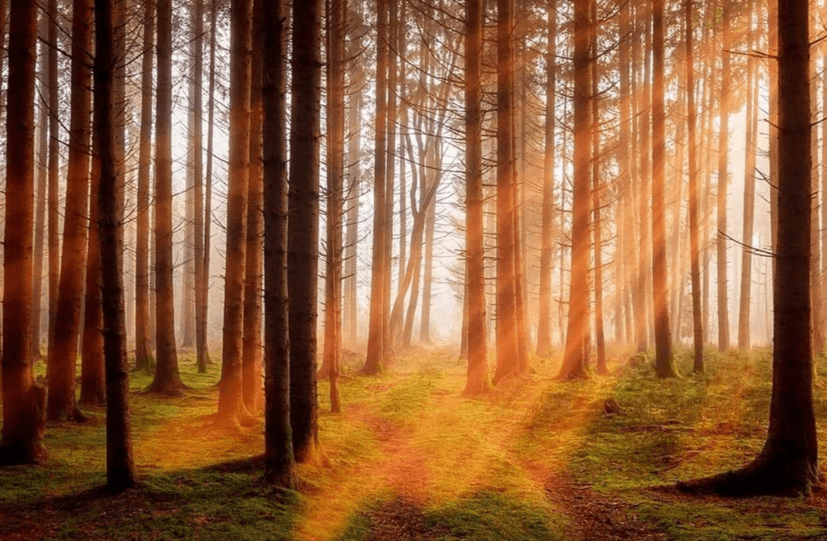 Що категорично не можна робити в перший день листопада - прикмети, заборони і поради предків