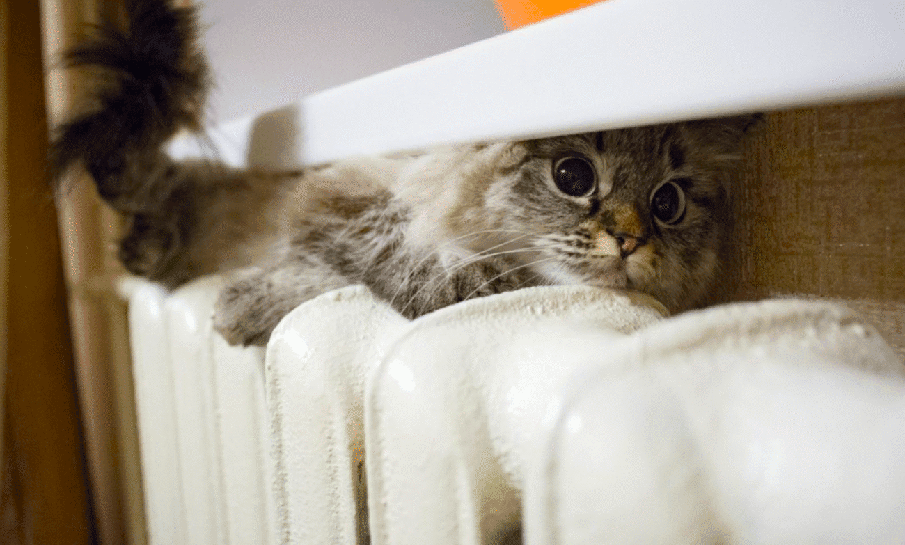 Опалювальний сезон стартував: п’ять простих способів не гріти вулицю і зменшити рахунки за тепло