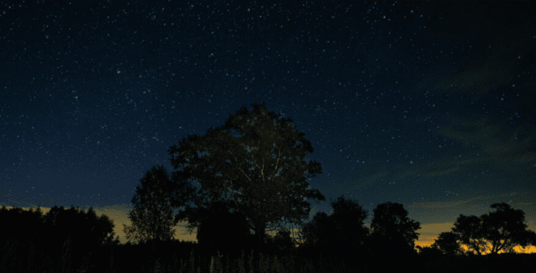 Зоряний дощ у грудні: коли і що можна побачити на небі сьогодні