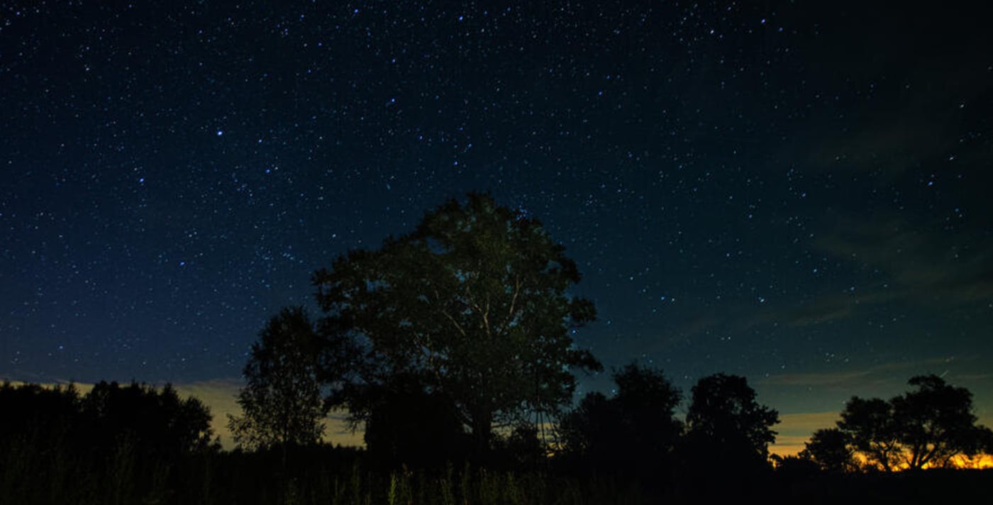 Зоряний дощ у грудні: коли і що можна побачити на небі сьогодні