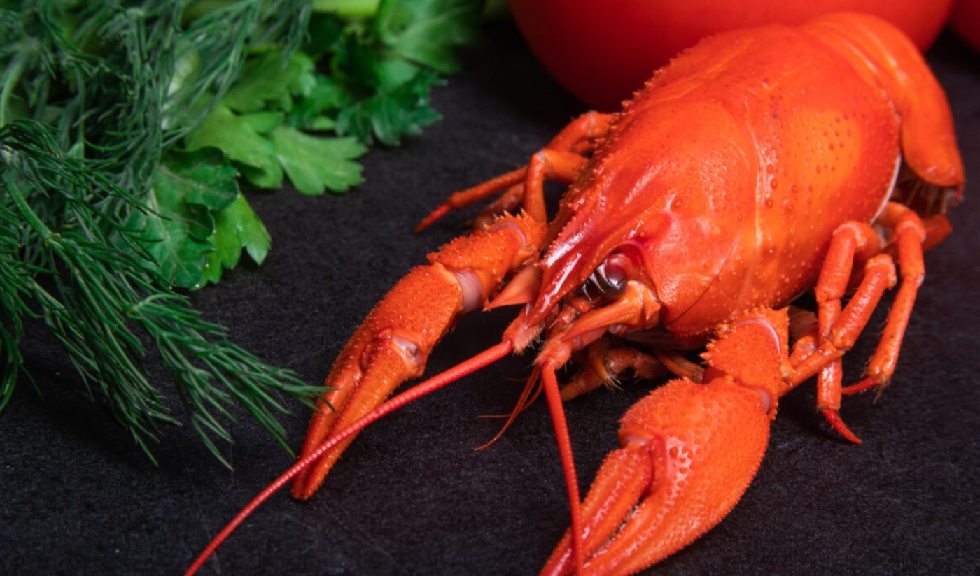 Чому після раків організм реагує інакше - пояснення просте