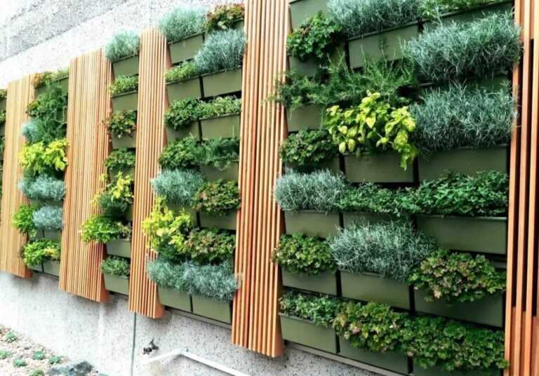Вертикальні сади 2026