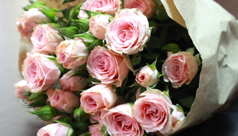 Букет зів’яне за 3 дні? 5 простих секретів, щоб квіти стояли до 10 днів