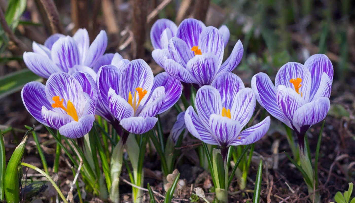 Погода на березень 2026