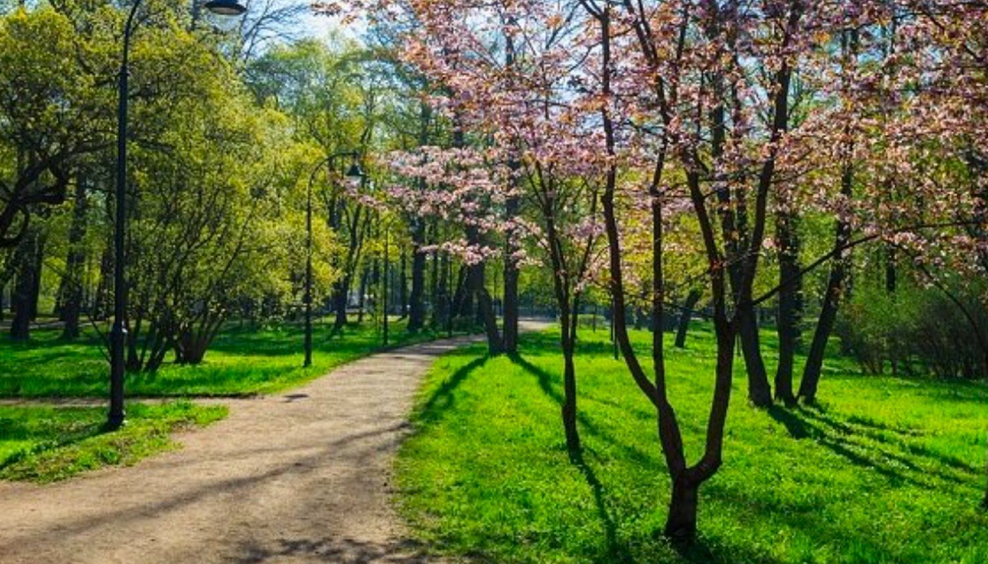 Погода на травень 2026 в Україні: аномальне тепло чи грозові дощі — прогноз синоптиків